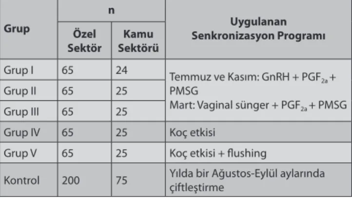 Tablo 1. Çalışmada oluşturulan gruplar ve gruplardaki hayvan sayıları Table 1. Groups in the study and the numbers of animals in each group Grup n Uygulanan  Senkronizasyon ProgramıÖzel  Sektör Kamu  Sektörü