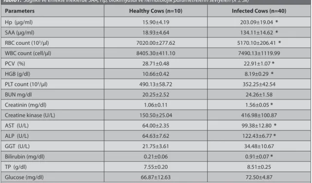 Table 1. The levels of SAA, Hp, biochemical and hematological parameters in infected and healthy cows (X ± Sx) Tablo1