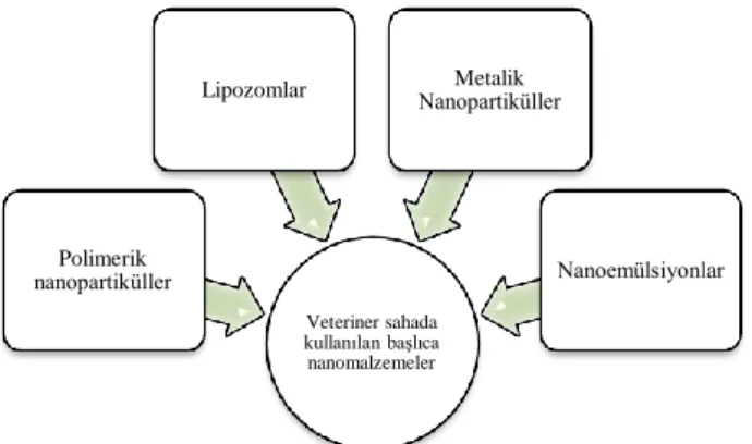 Şekil 1. Veteriner sahada kullanılan başlıca nanomalzemeler 