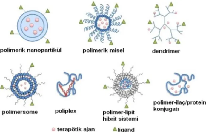 Şekil 2. Polimerik nanopartikül platformları (12) 