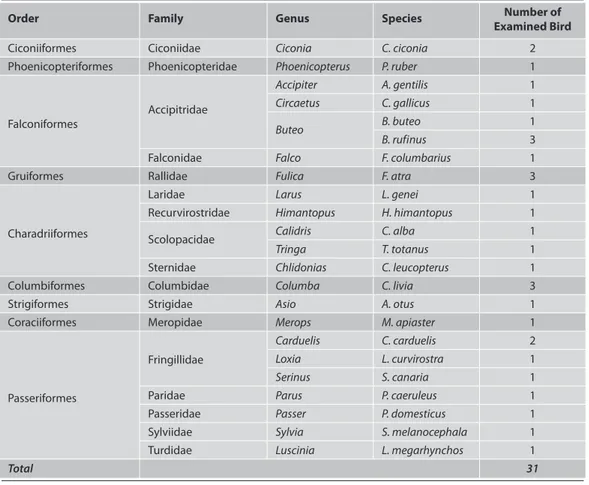 Table 1. Studied bird orders, families, genera and species Tablo 1. İncelenen kuş takım, aile, cins ve türleri