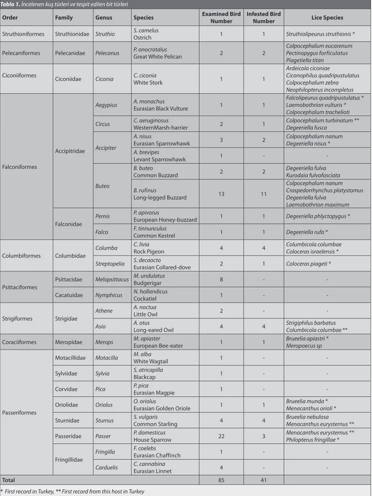 Table 1. Studied bird species and detected lice species Tablo 1. İncelenen kuş türleri ve tespit edilen bit türleri 