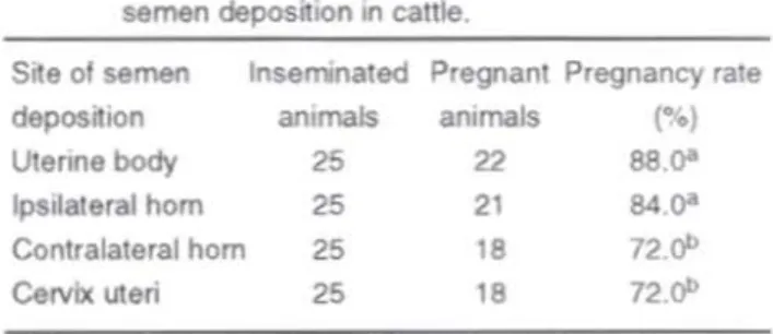 Table 1. Pregnancy rat es wıt h regards to dıtlerenı srtes of Mmen deposition in cattle .