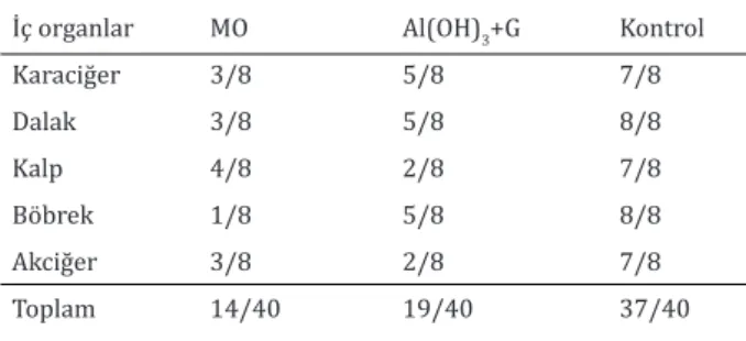 Tablo 3. Aşılı ve çelınç yapılan farelerde morbidite ve mortalite  oranları.