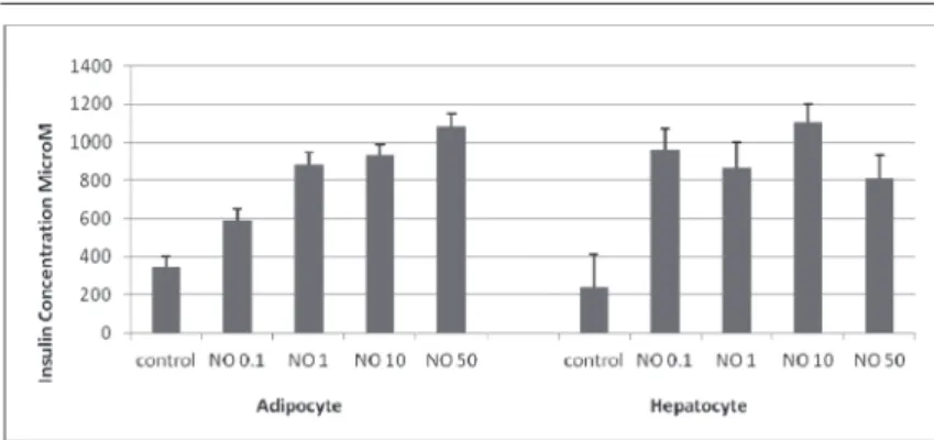 Fig 6. Basal and N.O.-stimulated FITC-Insulin binding activity in  cultured adipocytes and hepatocytes