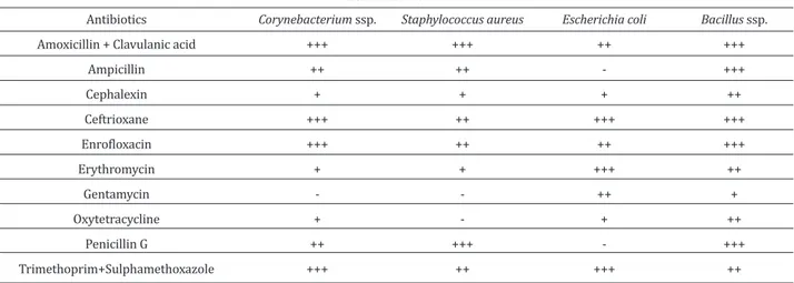 Table 1. Antibiotic susceptibilities of bacteria species isolated from cervical swab specimens of dairy cows.