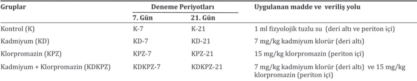 Tablo 1. Deneme grupları, uygulanan madde ve veriliş yolu.