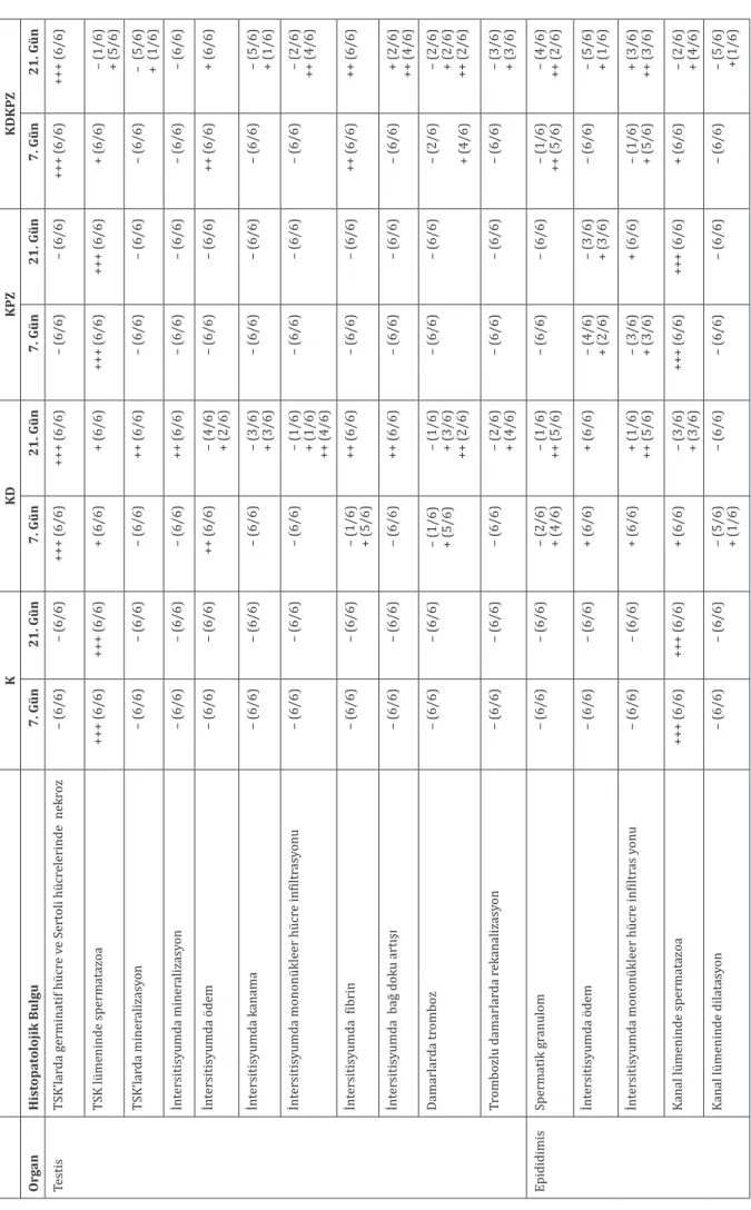 Tablo 5. Kontrol ve deneme gruplarında organlarda saptanan histopatolojik bulgular. KKDKPZKDKPZ   Organ  Histopatolojik Bulgu7