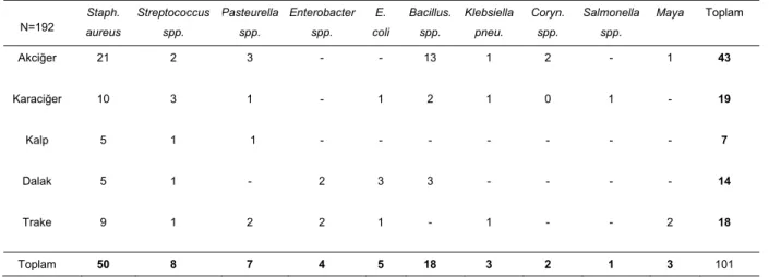 Tablo 3. Mikrobiyolojik bulguların organlara göre dağılımları   N=192  Staph.  aureus  Streptococcus spp