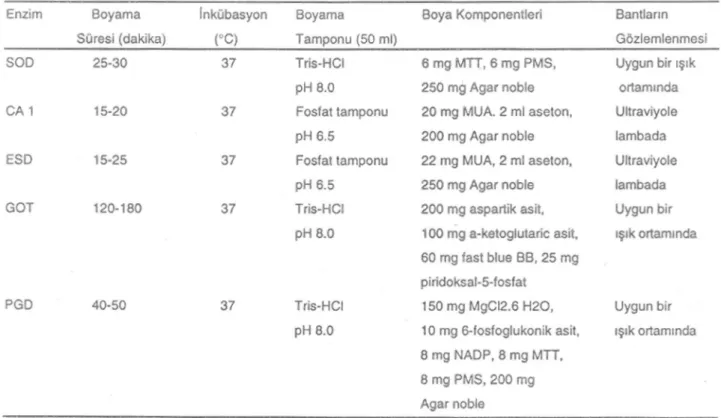 Tablo 2. Enzimlerin boyama şartları ve boya içerikleri