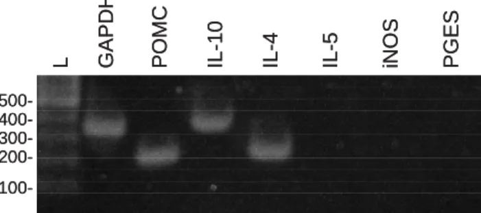 Fig 1. RT-PCR analysis of the genes used in the study (L: 100-bp DNA size  standard)