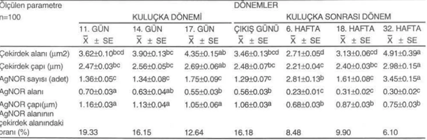 Tablo 3. Yumurtadan ç ıkıştan sonraki yetiştinne döneminde , erkek ve dişi yumurtaeılann hepatos~lerinden elde edilen hücre çekirdeği alanı, çekirdek çapı , AgNOA sayısı, AgNDA alanı ve AgNOA çapı de{}er1erinin istatistiksel analiz sonuçtan