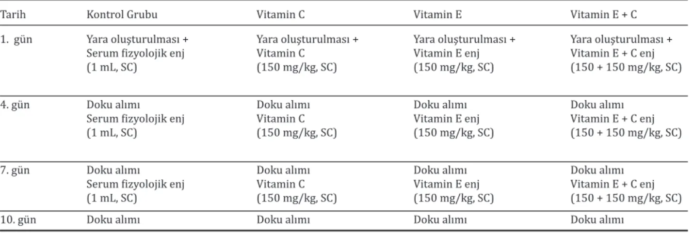 Tablo 1. Çalışmada oluşturulan gruplarda vitamin enjeksiyonu ve doku alım günleri. 