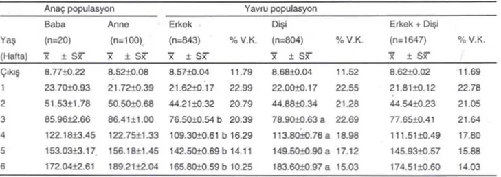 Tablo 1. EbeveynlEtmve yavru bıldırcınların hattatara göre canlı ağırlık onalamaları (g).