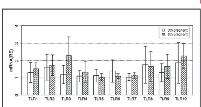Figure 3. Relative expression (RE) of TLR1-10 mRNAs on day 0 (d0)  and on day 8 of pregnancy in equine PBMCs
