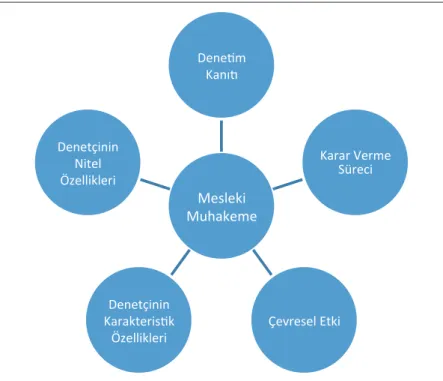 Şekil 1. Mesleki Muhakeme Kavramının Unsurları 