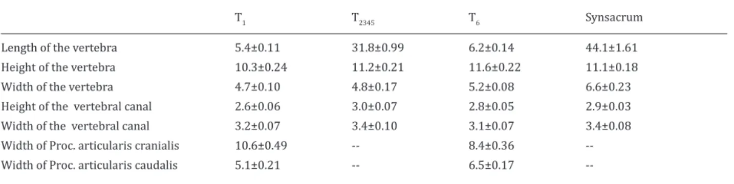 Table 2. Morphometric measurements of thoracal and lumbosacral vertebrae of rock partridges (mean±SE).