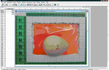 Fig 1. Computer screen showing the measurement of the egg  width and length