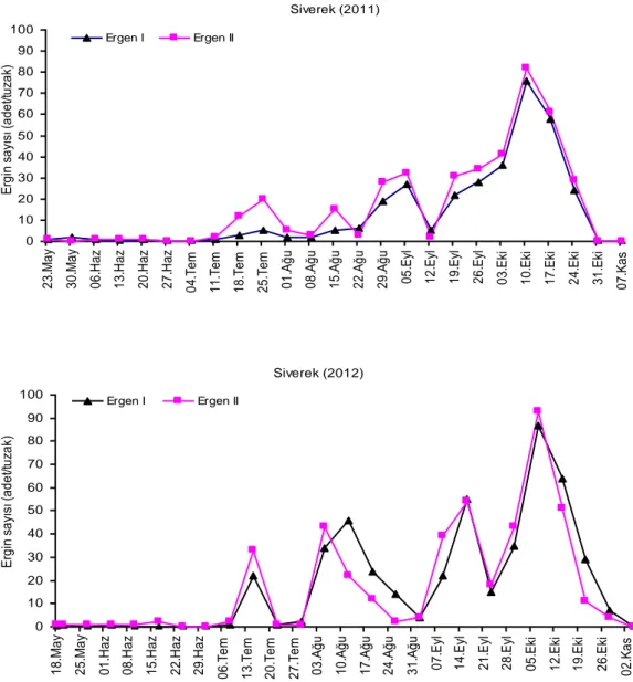 Şekil  6.  Şanlıurfa  İle  Siverek  İlçesi’nde  Harnup  güvesinin  2011  ve  2012  yıllarındaki  ergin  popülasyon gelişimi