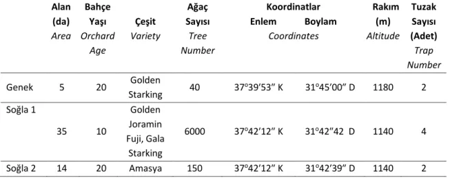 Çizelge 1. Elma içkurdunun  ergin  popülasyon  gelişimi ve bulaşıklık  oranlarının  belirlendiği  elma  bahçeleri 