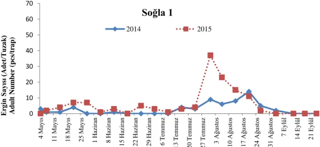 Şekil  2.  Soğla  1’de  2014-2015  yıllarında  elma  bahçesinde  Cydia  pomonella  ergin  popülasyon  gelişimi