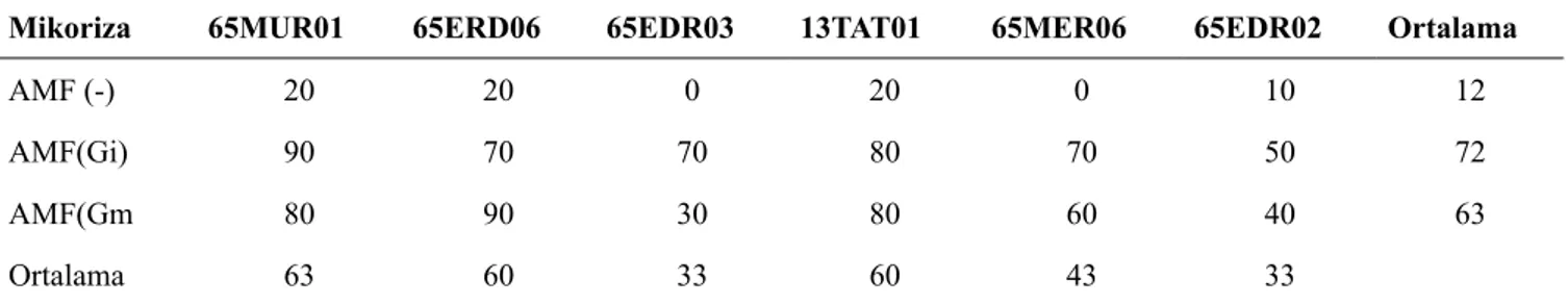 Çizelge 2. Bazı yerel kavun genotiplerinde AMF uygulamalarının köklerdeki kolonizasyon oranları (%)