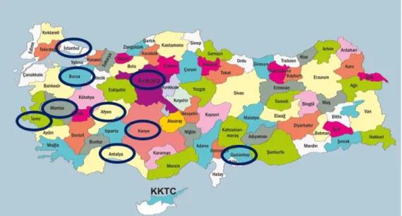 Şekil 2. Türkiye Haritası üzerinde çalışmada kıyaslanan illerin gösterimi  