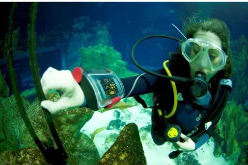 Figure 16. Divephone system underwater in İstanbul Aquarium. 