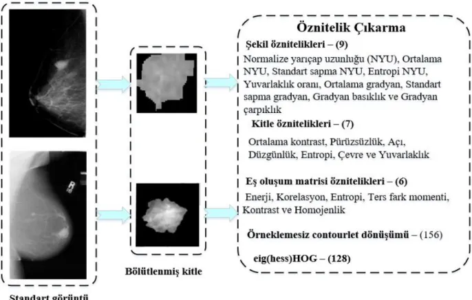 Şekil 3: Örnek bir mamogram ile öznitelik çıkarma aşaması   (Feature extraction stage with an example mammogram) 