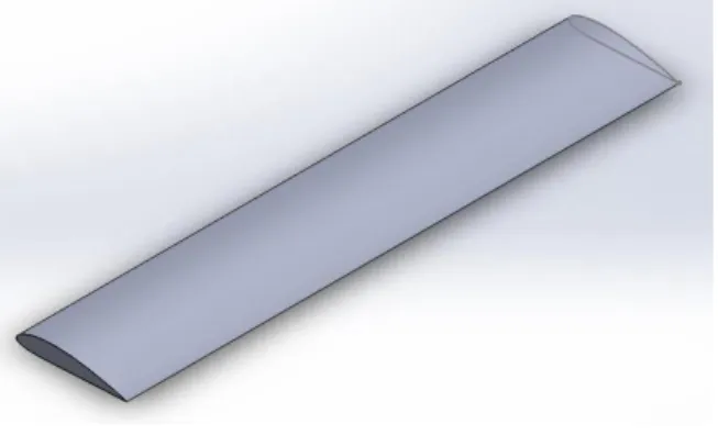 Figure 3. The model of the wing. 