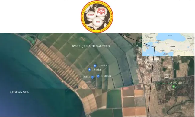 Figure 1. Çamaltı Saltern and the sampling stations 
