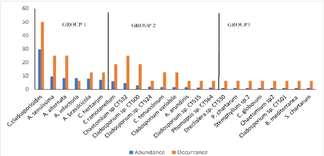 Figure 4. The relative abundance (%) and frequency of occurrence (%) of the fungal species isolated on DRBC  medium PleosporalesSordarialesCapnodialesDiaporthalesXylarialesHypocreales PleosporalesCapnodiales 