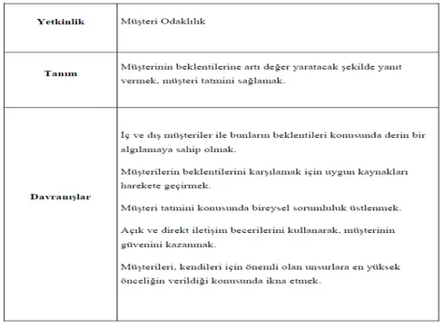 Tablo 1. Yetkinlik Örneği 