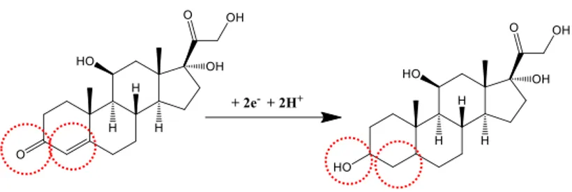 Şekil 4. Kortizol için önerilen elektrokimyasal indirgenme mekanizması 