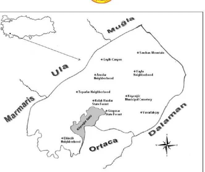 Figure 1. Map of Köyceğiz District 