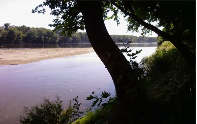 Figure 15. Normal state of Meriç River in August 15, 2008 (Photo by Ahmet Asan).  