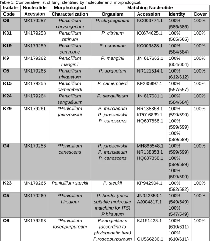 Table 1. Comparative list of fungi identified by molecular and  morphological.  