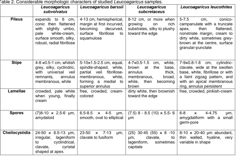 Table 2. Considerable morphologic characters of studied Leucoagaricus samples. 