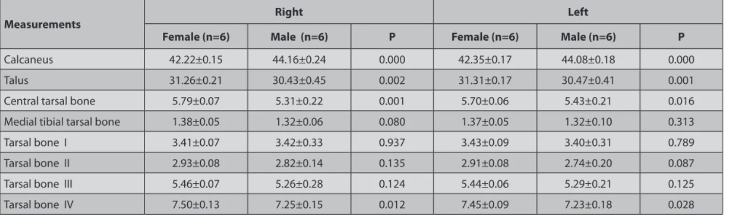 Table 2. Statistical analysis performed by taking percentage rates of surface area means obtained from 3D images of tarsal bones (mean ± SD)