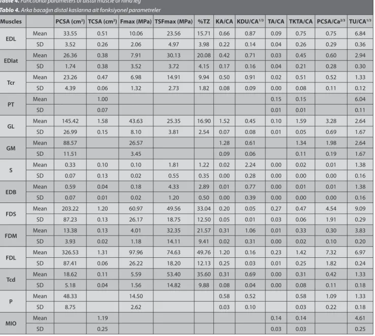 Table 4. Functional parameters of distal muscle of hind leg  Tablo 4. Arka bacağın distal kaslarına ait fonksiyonel parametreler