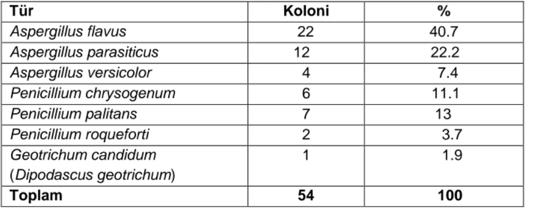 Tablo 2. Kastamonu ve Erzincan illerinde 2012-2013 yılları arasında izole edilen toplam  mikrofungus cinslerinin koloni sayısı ve yüzde oranları   