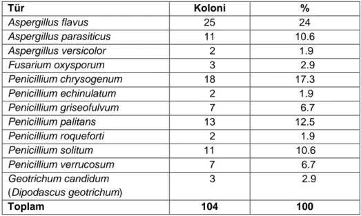 Tablo 4. Erzincan ilinde 2012-2013 yılları arasında izole edilen toplam   mikrofungus türlerinin koloni sayısı ve yüzde oranları 
