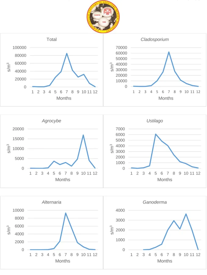 Figure 3. Distribution of dominant and common fungus spores and total spore concentration in Yalova atmosphere in 2005 0200004000060000800001000001 2 3 4 5 6 7 8 9 10 11 12s/m3MonthsTotal0100002000030000400005000060000700001 2 3 4 5 6 7 8 9 10 11 12s/m3Mon