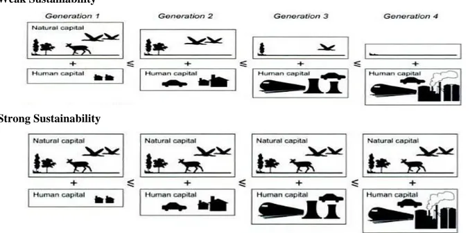 Figure  4  shows  that  the  way  both  weak  and  strong  sustainability  approaches  carry  on  the  capital  throughout  the  generations