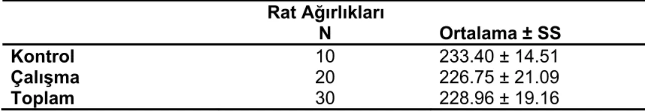 Tablo 2: Sıçan ağırlık dağılımları 
