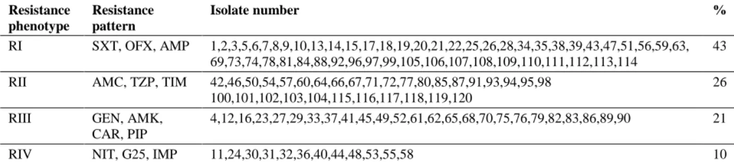 Table 1. Antibiotic resistance profiles for E. coli isolates. 