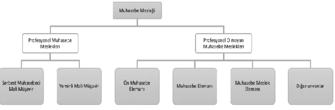 Şekil 1: Türkiye’de Muhasebe Meslek Grupları 