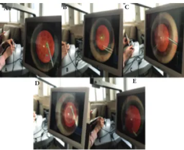 Figure 3. Screen view during the navigation (A), forceps (B), bimanual application  (C), anti-tremor module (D) and capsulorhexis (E) stages of the simulator