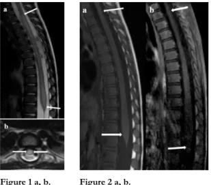 Figure 1 a, b.  Figure 2 a, b.  
