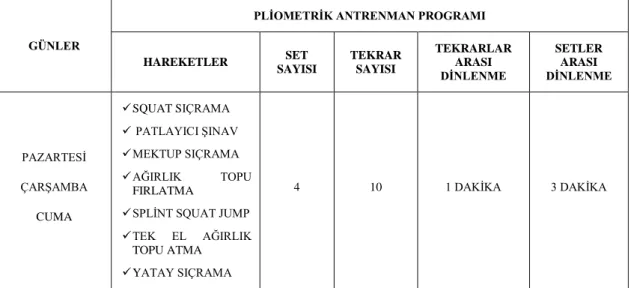 Çizelge 2.1. Pliometrik Antrenman Programı Tablosu 